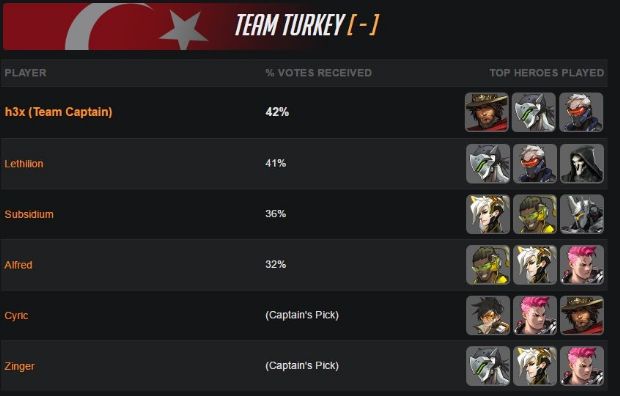 Overwatch milli kadromuz belli oldu