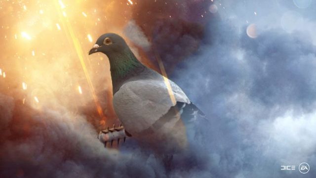 Battlefield 1'de güvercin olabiliyorsunuz Battlefield 1'de güvercin olabiliyorsunuz