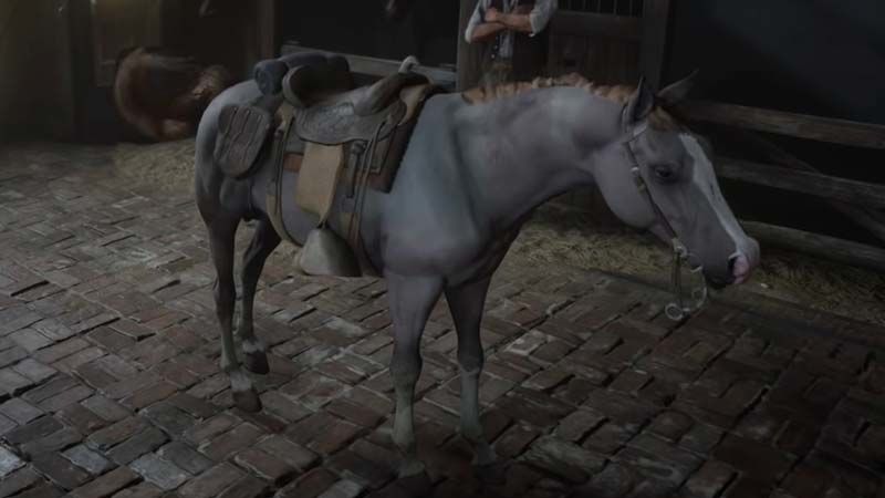 RDR2 En İyi At Seçimi - 1 RDR2 En İyi At Seçimi - 1
