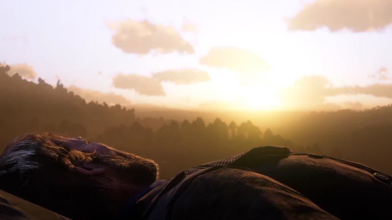 Red Dead Redemption 2: Arthur Red Dead Redemption 2: Arthur