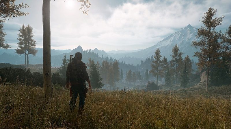 Days Gone PC sistem gereksinimleri açıklandı - 4 Days Gone PC sistem gereksinimleri açıklandı