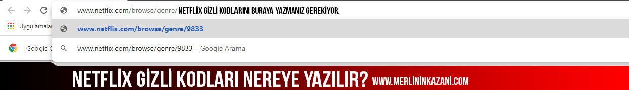 Netflix gizli kodları listesi (2021) - 2 Netflix gizli kodları nereye yazılır?