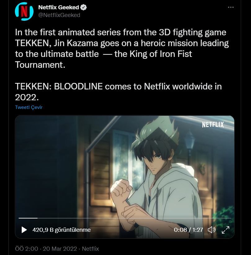 Tekken animasyon dizisi