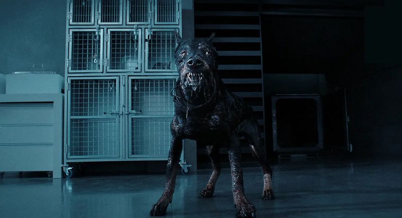 Netflix Temmuz 2022 içerikleri belli oldu Netflix Temmuz 2022 içerikleri
