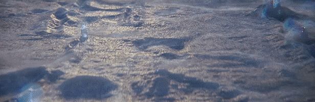 Destiny 2 için yeni genişleme paketleri duyuruldu - 1 Destiny 2 için yeni genişleme paketleri duyuruldu - 1