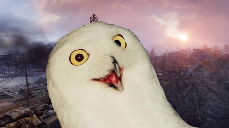 Steam ve Metro: Exodus olayı hakkında ortaya çıkan yeni gerçek Steam ve Metro: Exodus olayı hakkında ortaya çıkan yeni gerçek