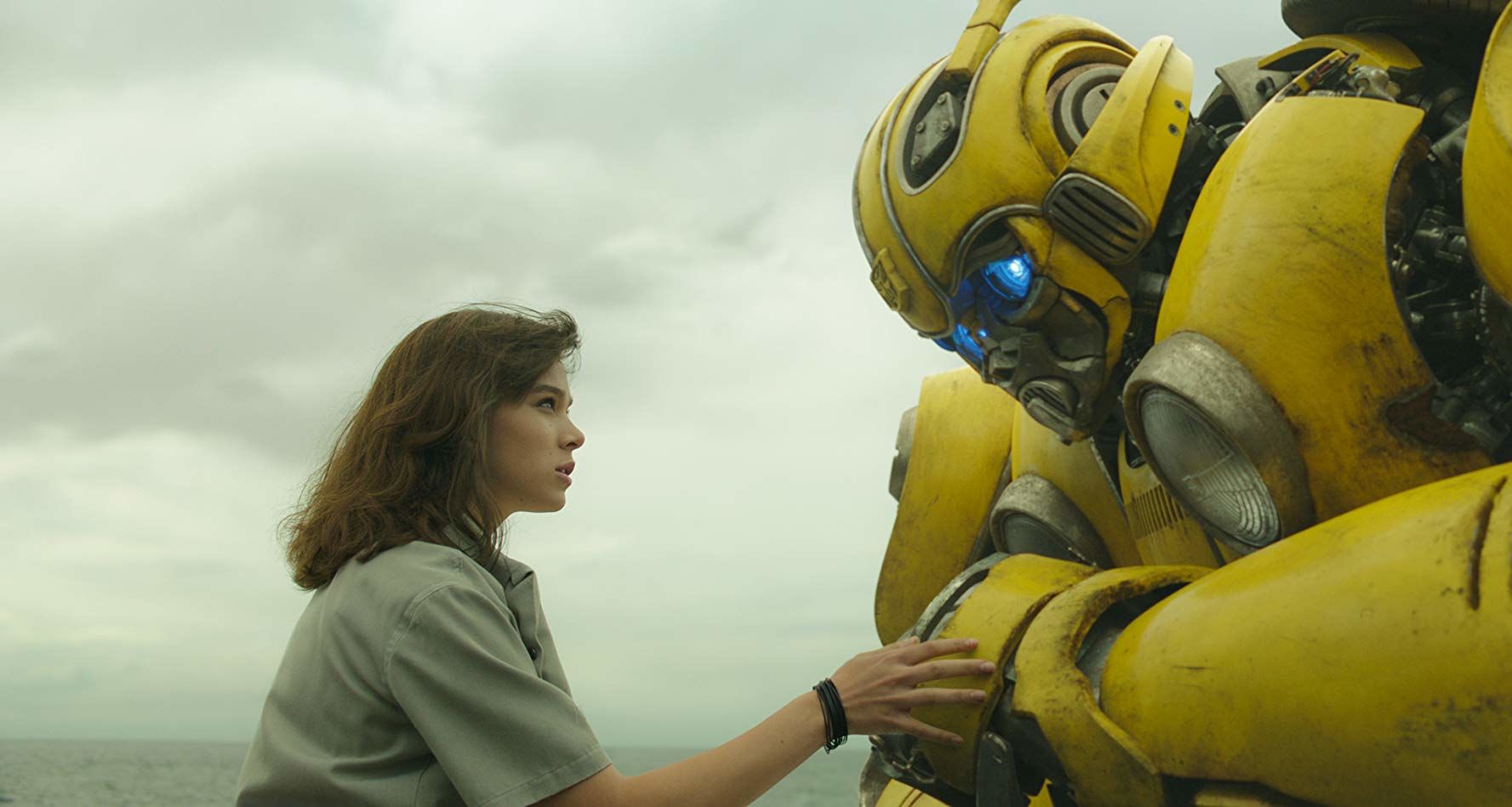 Bumblebee - 1