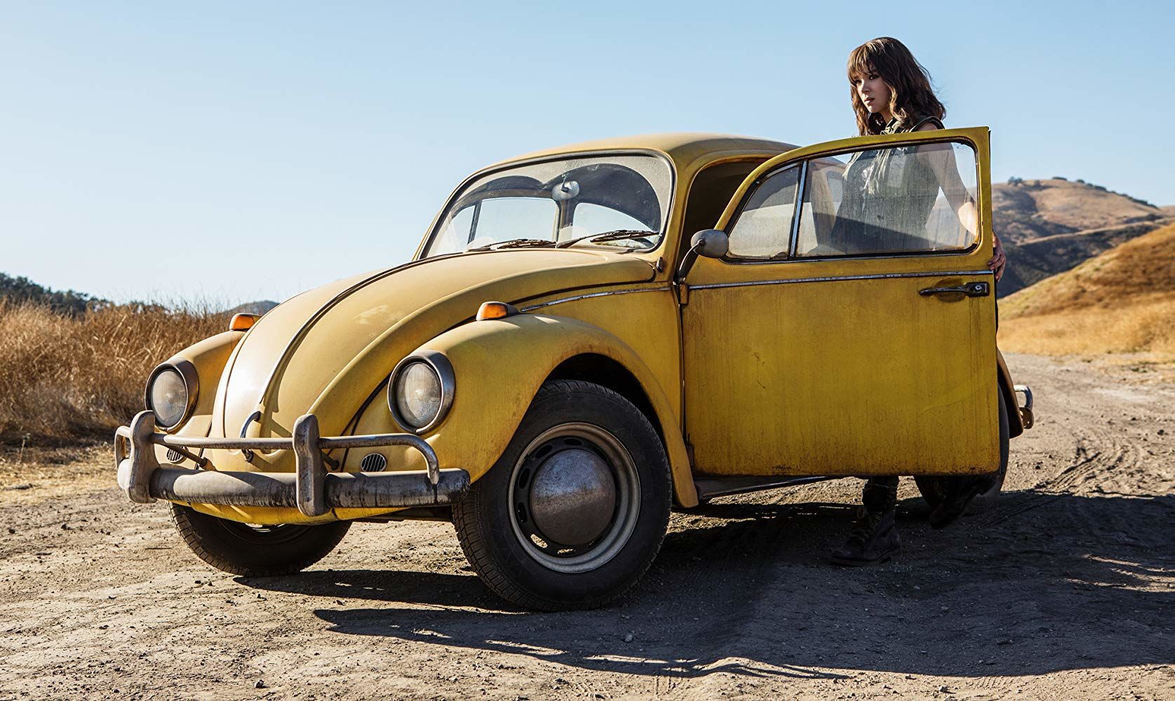 Bumblebee - 2