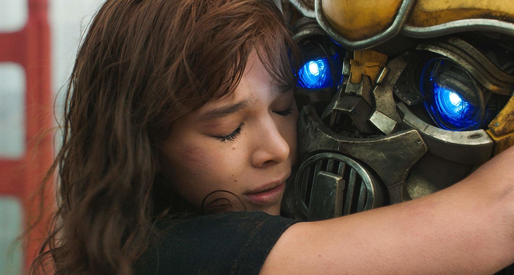 Bumblebee - 5