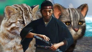 Ghost Of Tsushima'nın Kedisi Büyük Riski Atlattı