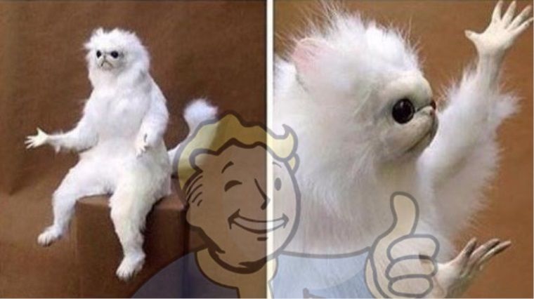 Fallout 76'nın betasını silmek için oyunu satın almanız gerekiyor Fallout 76'nın betasını silmek için oyunu satın almanız gerekiyor