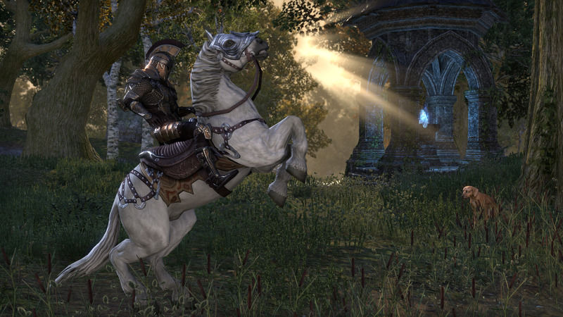 Elder Scrolls 6 İçin Doğru Zaman Bekleniyormuş Elder Scrolls 6 İçin Doğru Zaman Bekleniyormuş