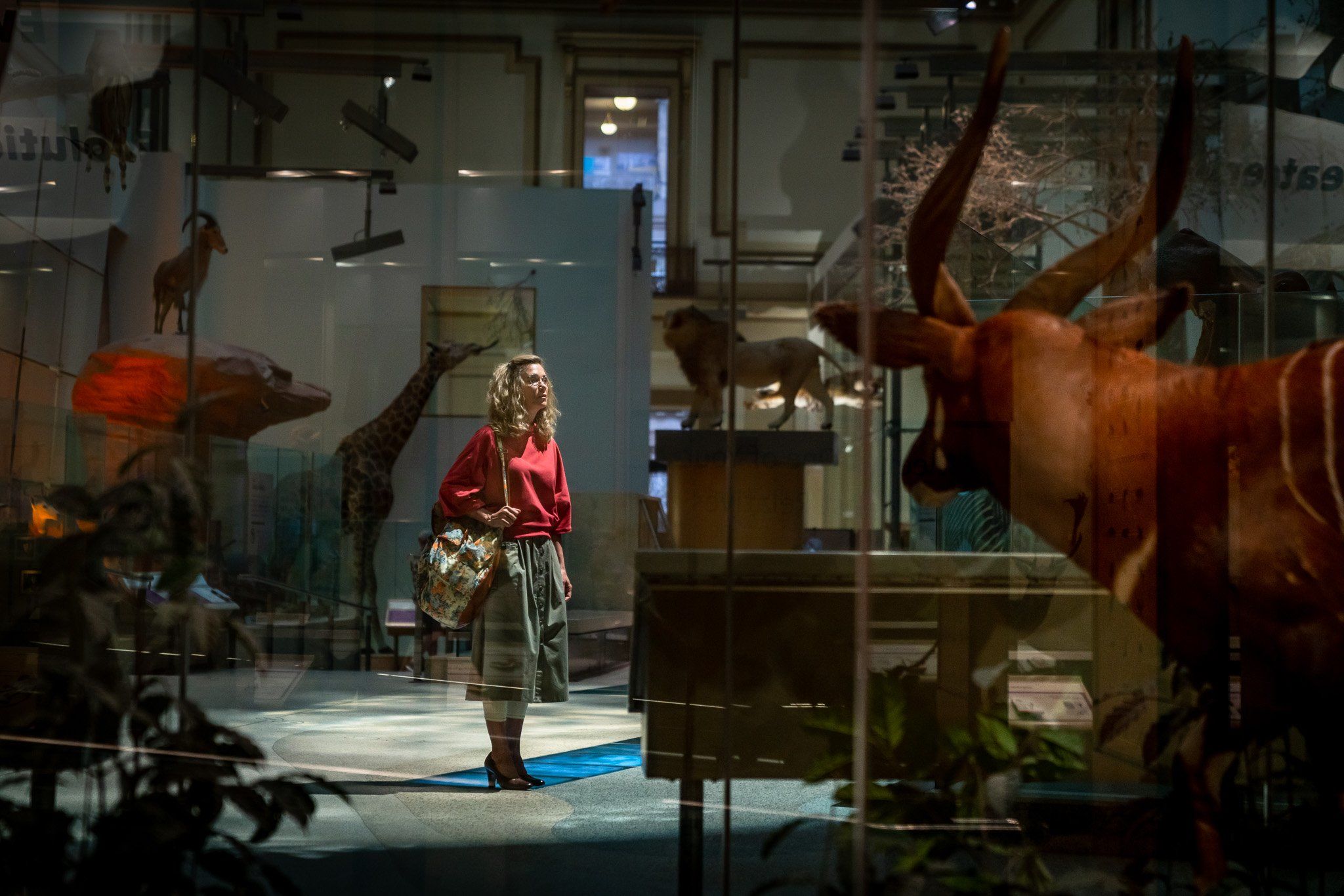 Kristen Wiig'in Wonder Woman 1984 filminden ilk görüntüsü geldi Kristen Wiig'in Wonder Woman 1984 filminden ilk görüntüsü geldi