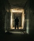 Chernobylite
