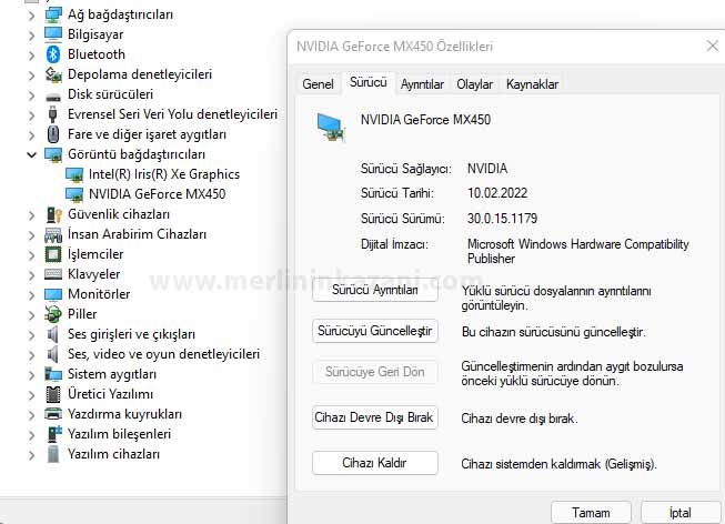 Elden Ring Beyaz Ekran Sorunu Nasıl Çözülür?