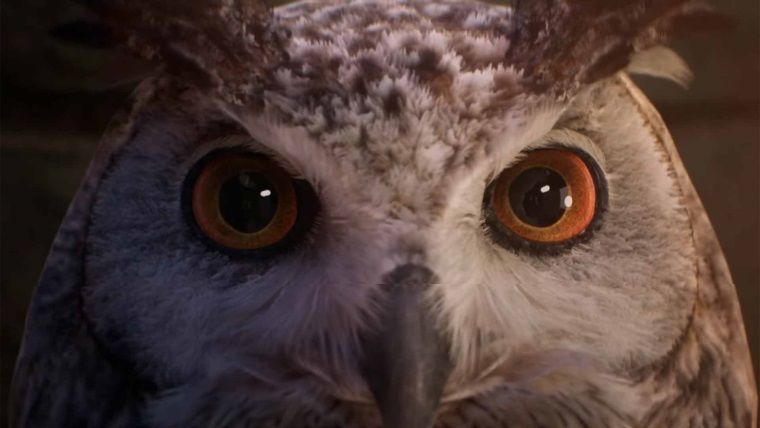 Hogwarts Legacy sinematik fragmanı yayınlandı Hogwarts Legacy sinematik fragmanı yayınlandı