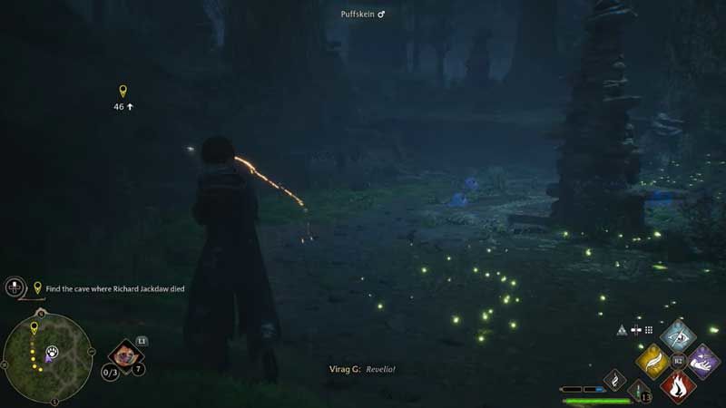 Hogwarts Legacy: Jackdaw Hogwarts Legacy: Jackdaw