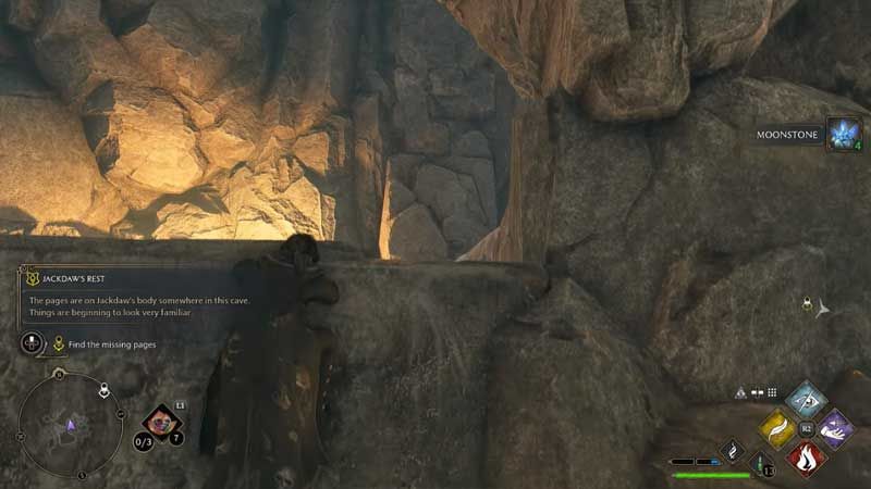 Hogwarts Legacy: Jackdaw Hogwarts Legacy: Jackdaw