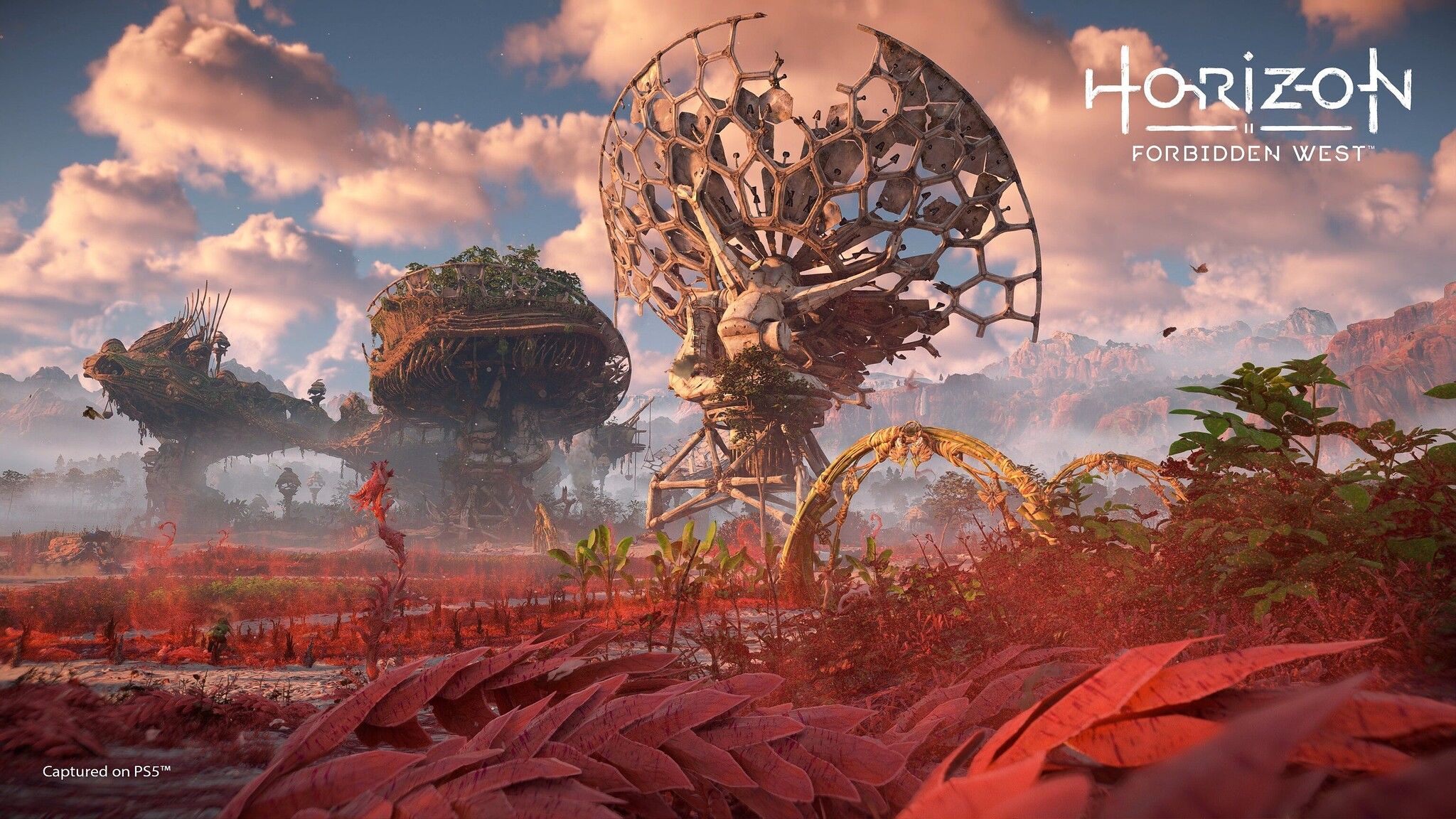Horizon Forbidden West Türkçe altyazı ile geliyor Horizon Forbidden West Türkçe altyazı ile geliyor