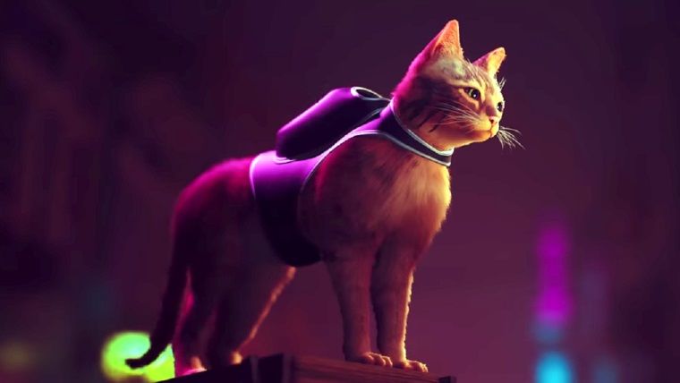 Stray sistem gereksinimleri açıkladı Stray sistem gereksinimleri açıkladı