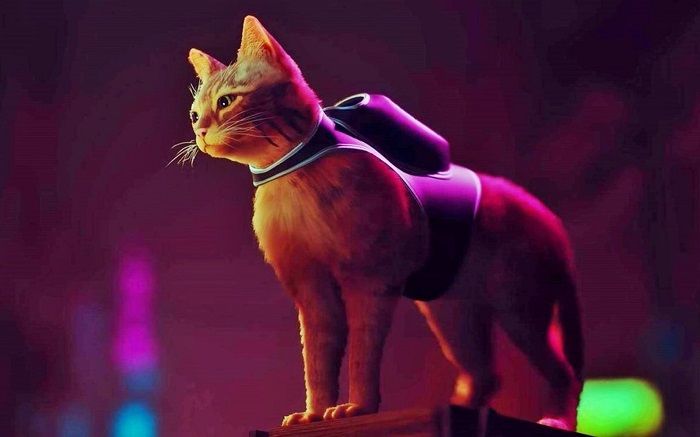 Ana karakteri bir kedi olan Stray bu yaz çıkıyor Ana karakteri bir kedi olan Stray