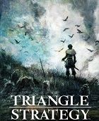 Triangle Strategy