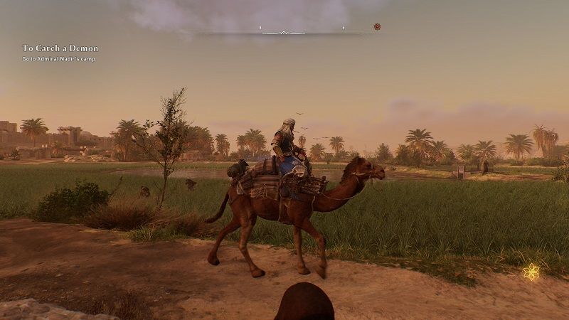 Assassin Assassin