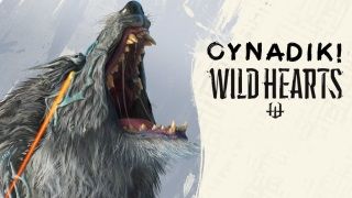 Wild Hearts ön inceleme