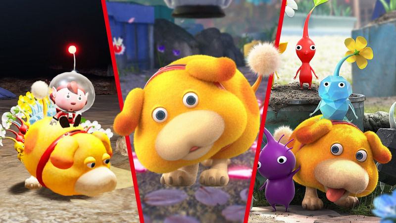 Pikmin Nintendo Evreninde Daha Fazla Yer Bulabilir Pikmin Nintendo Evreninde Daha Fazla Yer Bulabilir