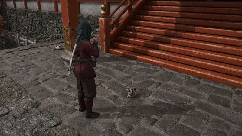 Assassin