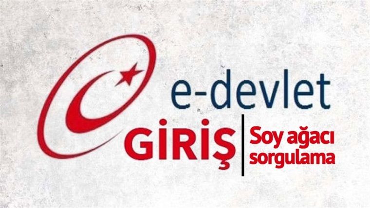 Soyağacınızı sakın sosyal medya sitelerinde paylaşmayın! Soyağacınızı sakın sosyal medya sitelerinde paylaşmayın!