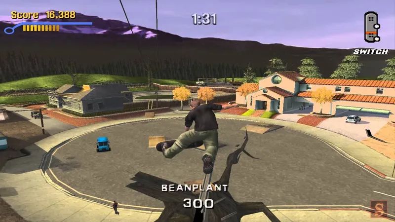 Tony Hawk