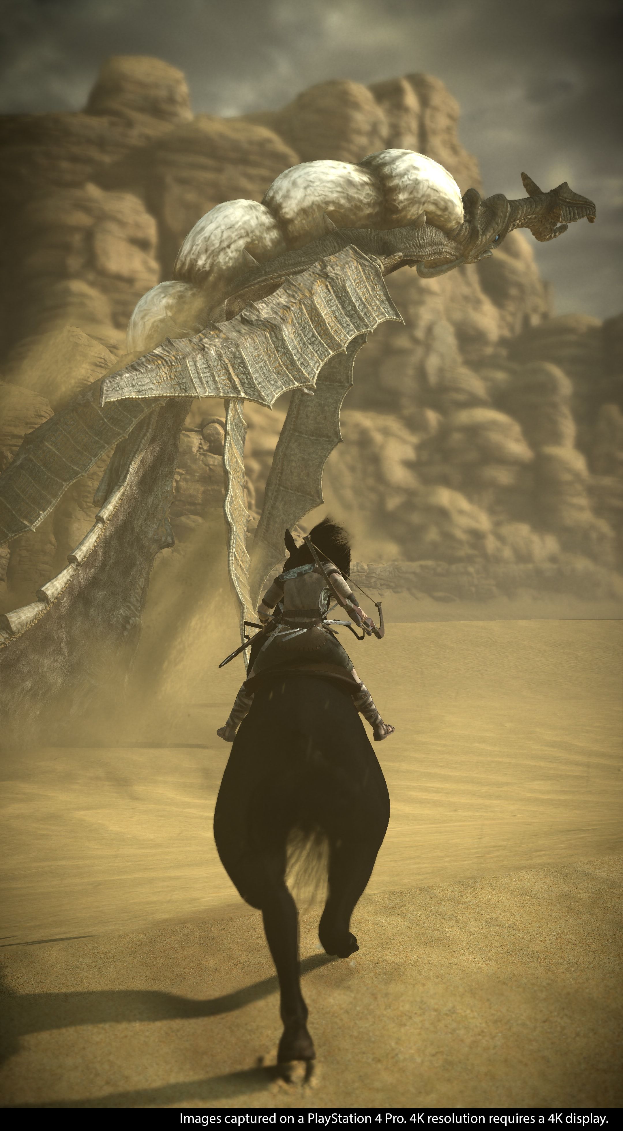 Shadow of The Colossus remake için fotoğraf modu da duyuruldu - 4 Shadow of The Colossus remake için fotoğraf modu da duyuruldu - 4