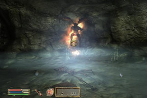 Oblivion her ekran kartında çalışabilir - 3