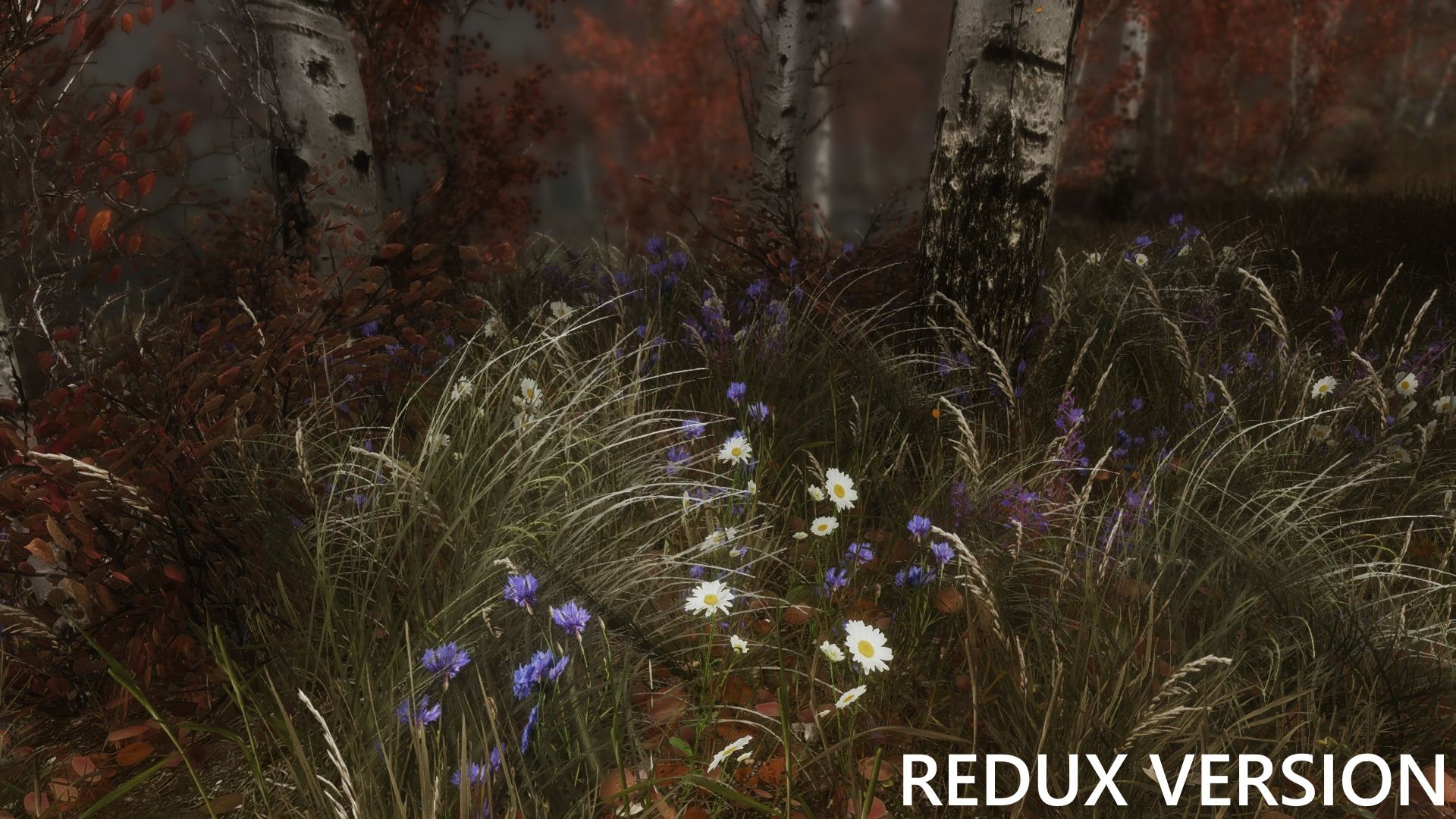 Skyrim için yapılan yeni mod sayesinde oyunu yeniden yükleyeceksiniz - 3