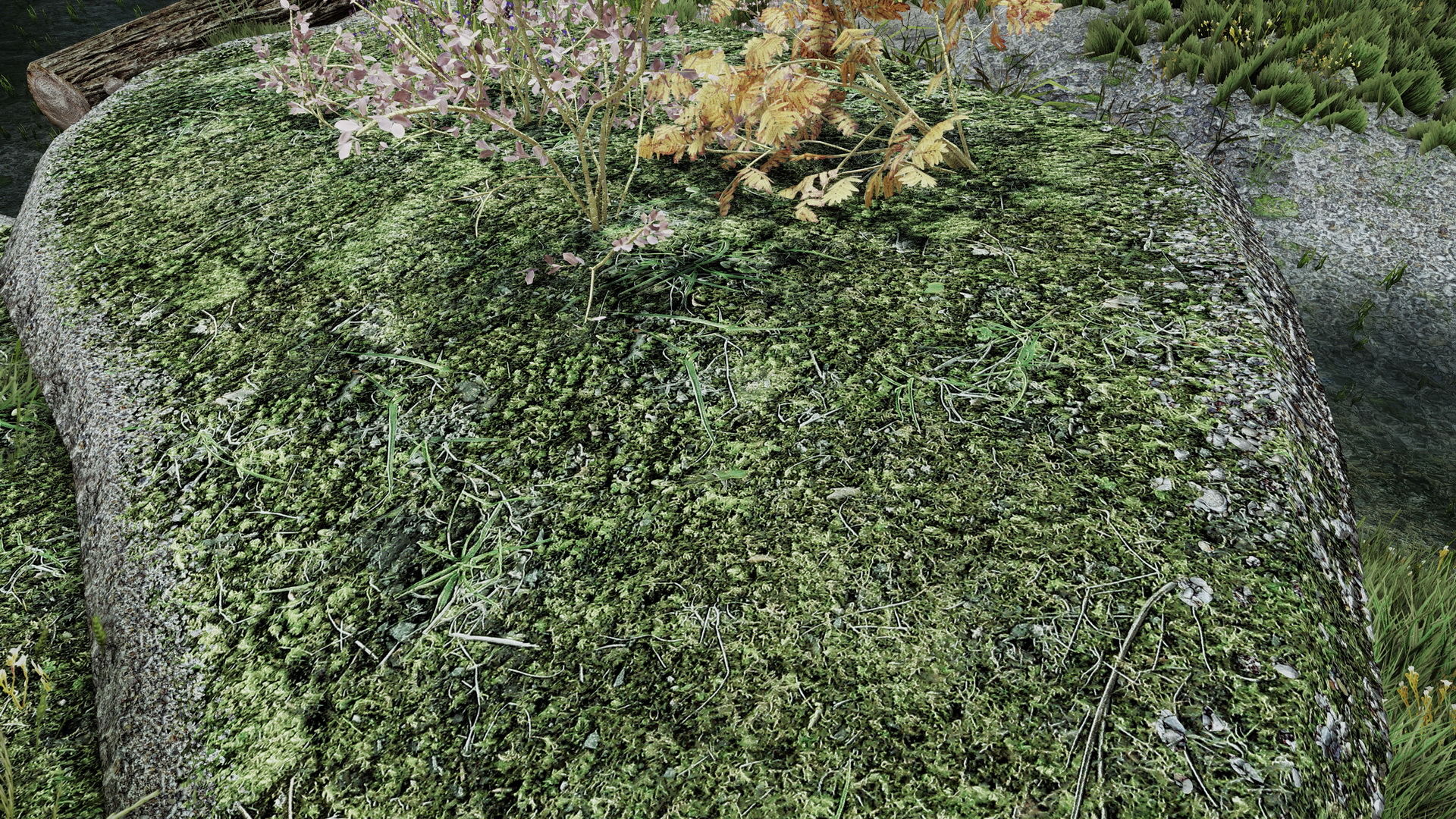 Skyrim'in yeni modu grafikleri başka bir boyuta taşıyor - 3 Skyrim'in yeni modu grafikleri başka bir boyuta taşıyor - 3