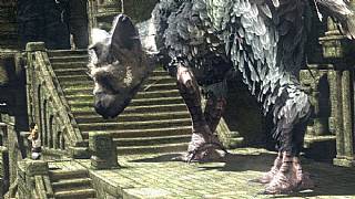 The Last Guardian E3'te gösterilecek mi?