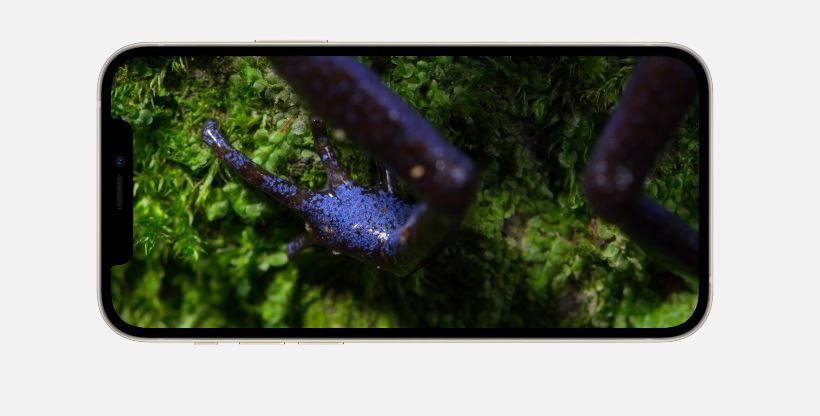 Apple iPhone 12 modelleri ve fiyatları belli oldu - 2 Apple iPhone 12 modelleri ve fiyatları belli oldu - 2