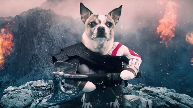 God Of War'ın yeni reklam filminde başrolde köpek Kratos var God Of War'ın yeni reklam filminde başrolde köpek Kratos var