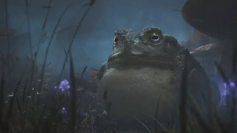 Fable 4: Yeni Oyuna Dair Tüm Detaylar - 3 Fable 4: Yeni Oyuna Dair Tüm Detaylar - 3