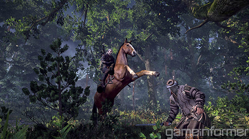 The Witcher 3: Wild Hunt'tan mükemmel görüntüler (galeri-video) - 12