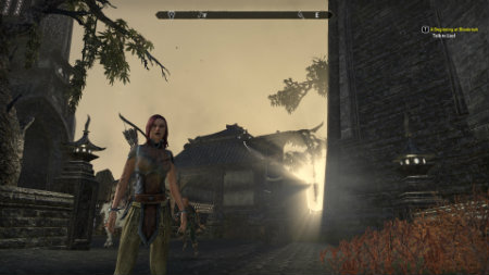 The Elder Scrolls Online - 11 The Elder Scrolls Online - 11