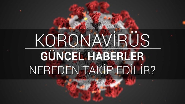 Koronavirüs haberleri için en güzel kaynaklar Koronavirüs haberleri için en güzel kaynaklar