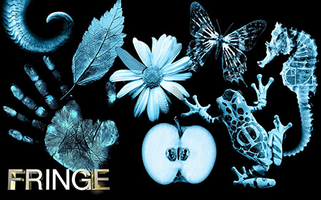 Kara Ekran #20: Fringe - 3 Kara Ekran #20: Fringe - 3