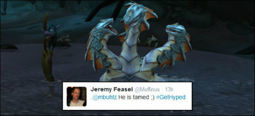 Hunter'lara yeni pet geliyor! Hunter'lara yeni pet geliyor!